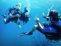 Dive Control Specialist