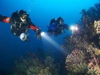 Nitrox Avancé et Decompression Procedures