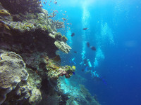 Buceo Profundo